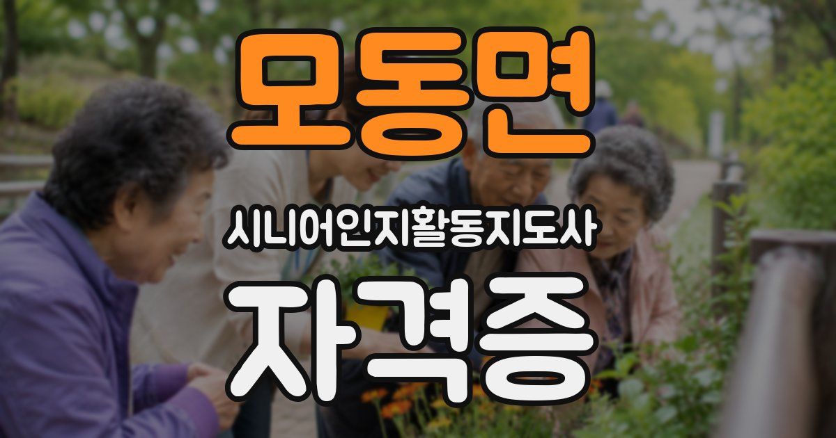 모동면 시니어인지활동지도사 자격증