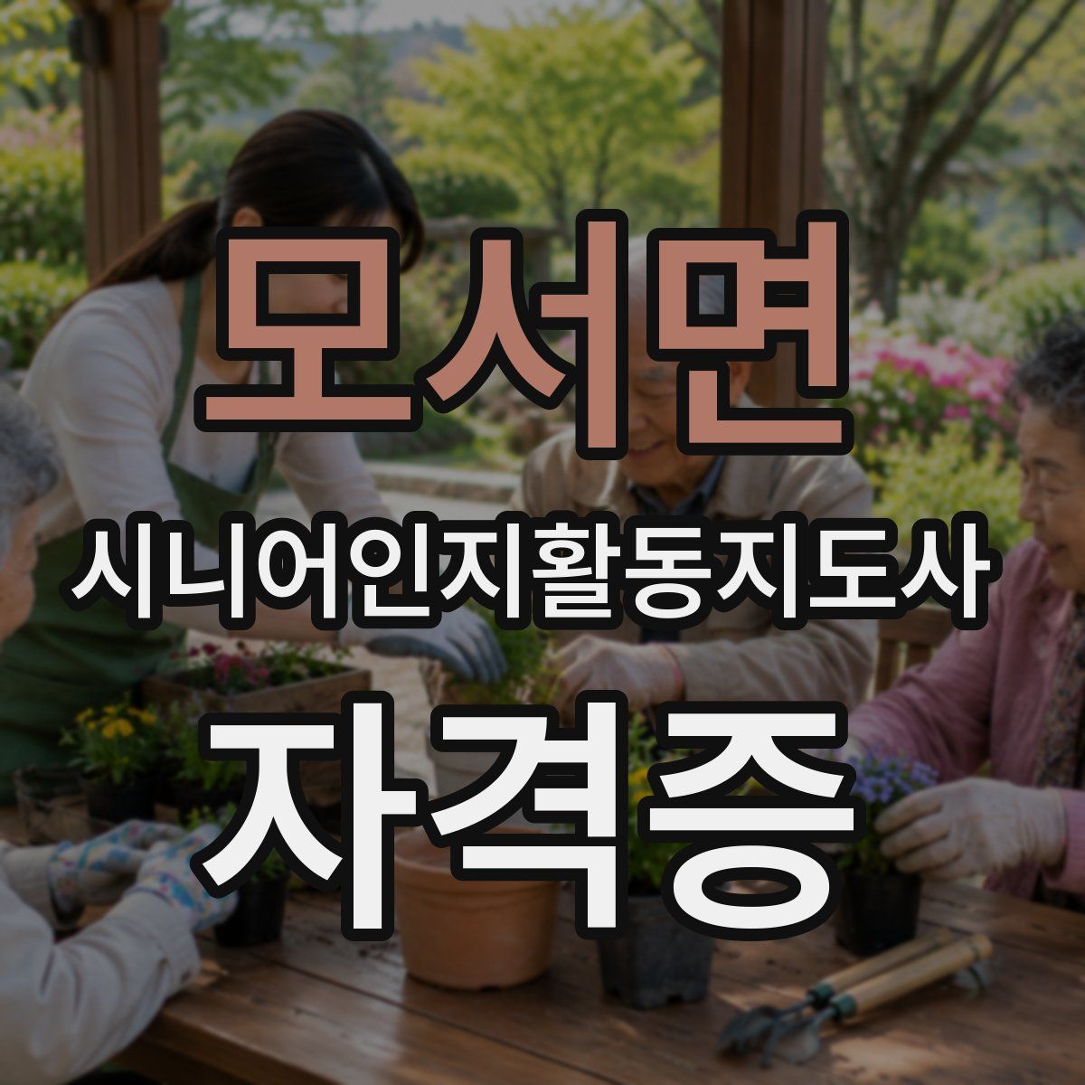 모서면 시니어인지활동지도사 자격증