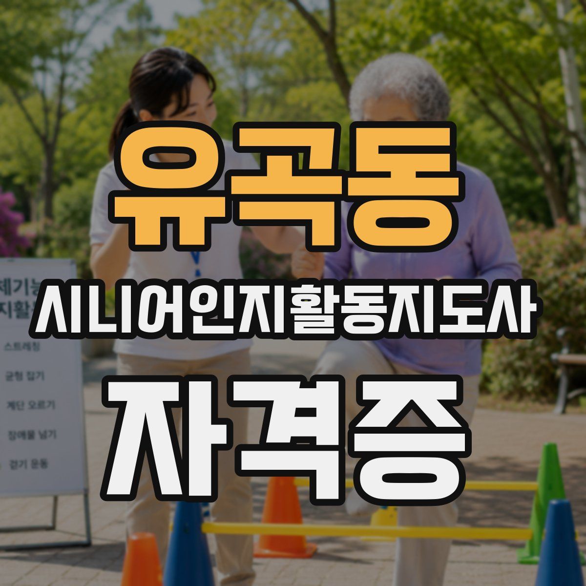 유곡동 시니어인지활동지도사 자격증