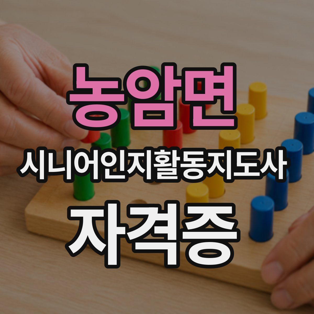 농암면 시니어인지활동지도사 자격증