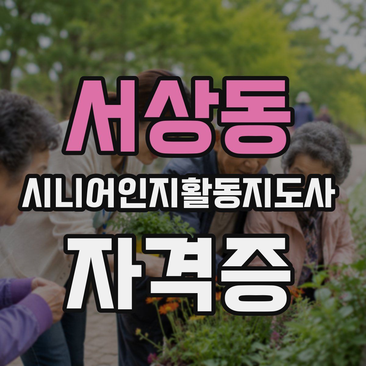서상동 시니어인지활동지도사 자격증