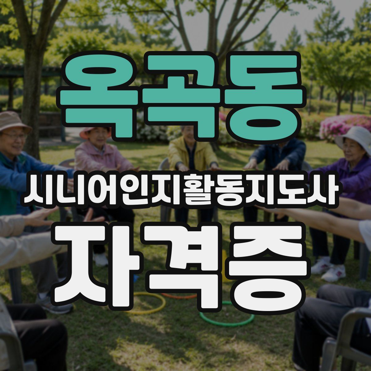 옥곡동 시니어인지활동지도사 자격증