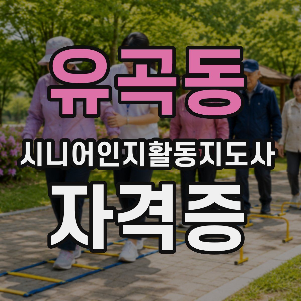 유곡동 시니어인지활동지도사 자격증