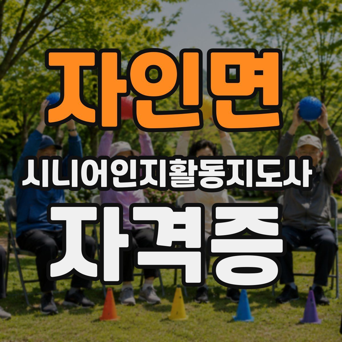 자인면 시니어인지활동지도사 자격증