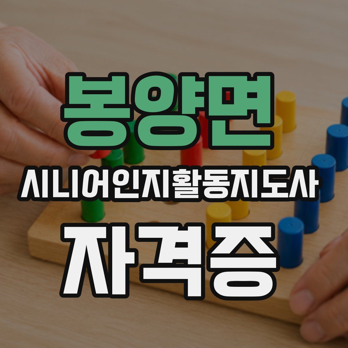 봉양면 시니어인지활동지도사 자격증