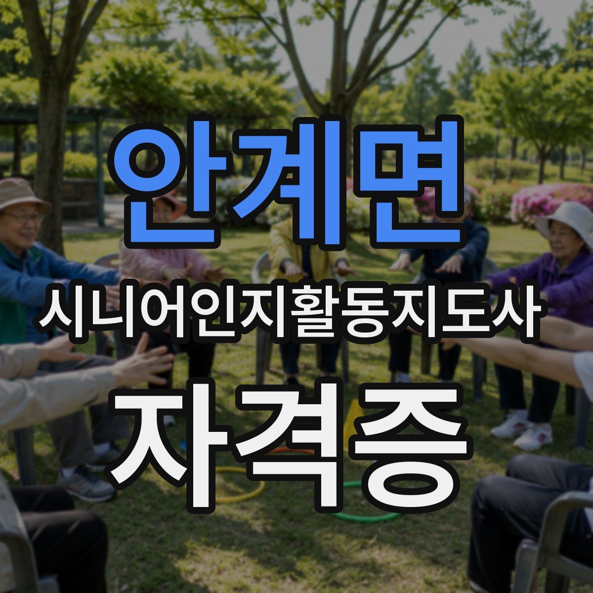안계면 시니어인지활동지도사 자격증