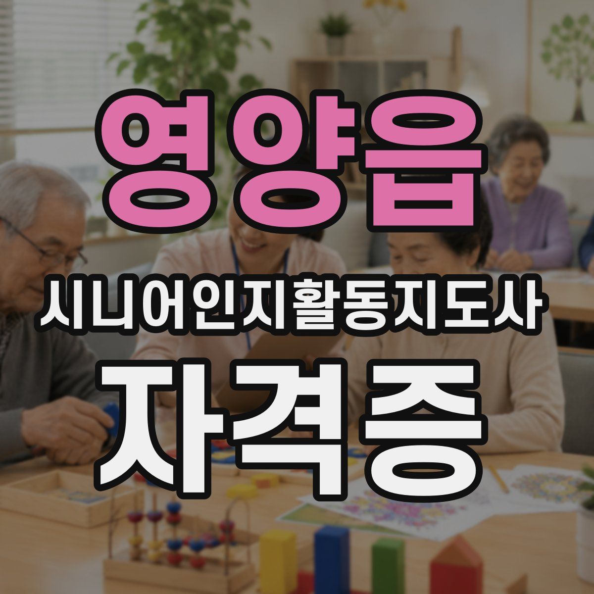 영양읍 시니어인지활동지도사 자격증