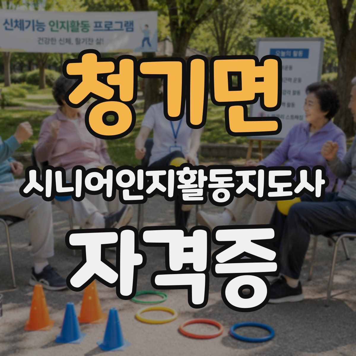 청기면 시니어인지활동지도사 자격증