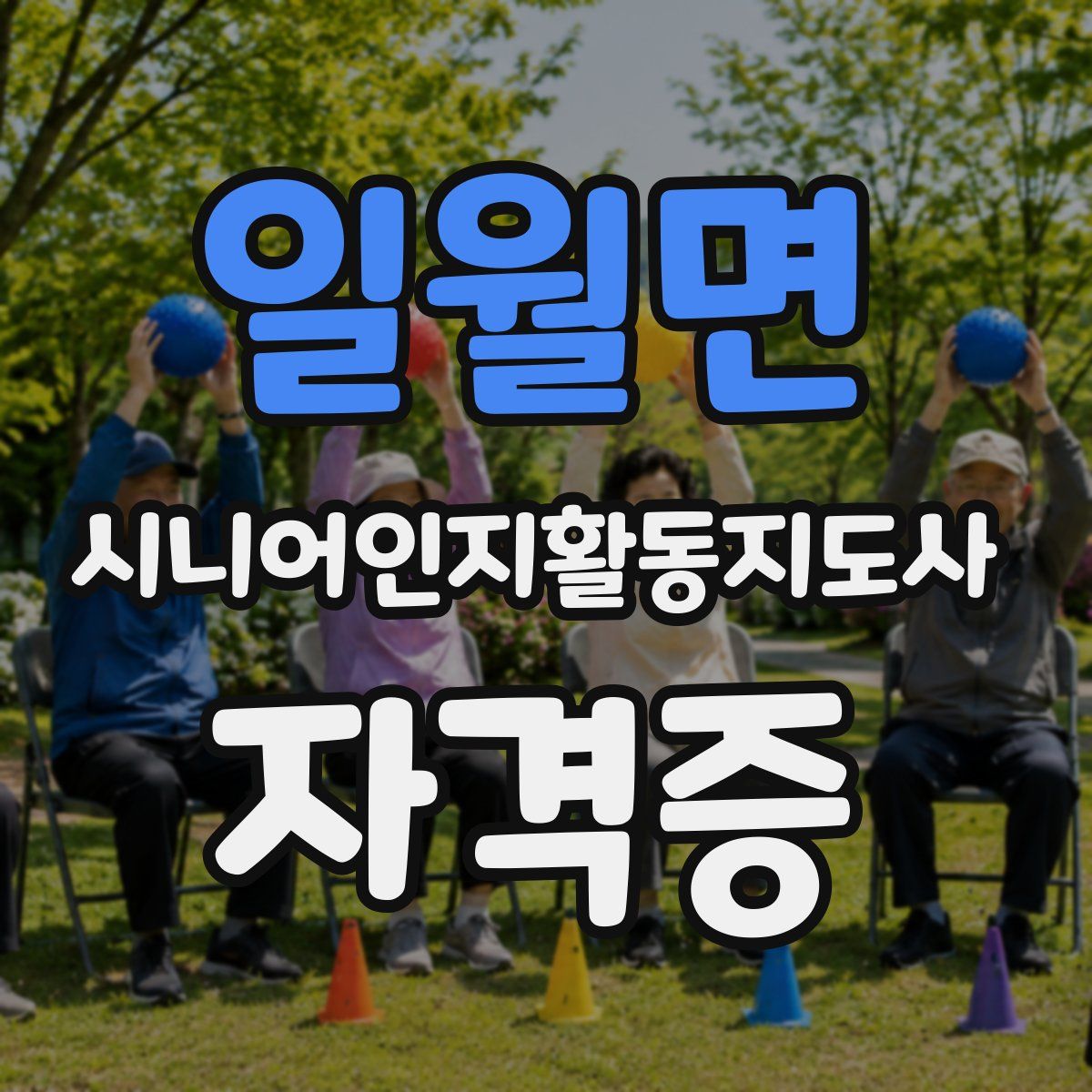 일월면 시니어인지활동지도사 자격증