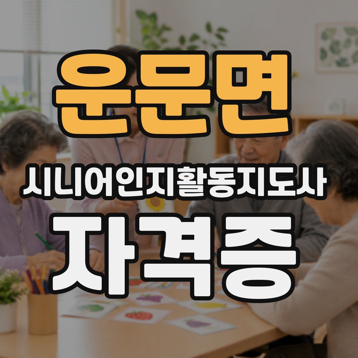 운문면 시니어인지활동지도사 자격증