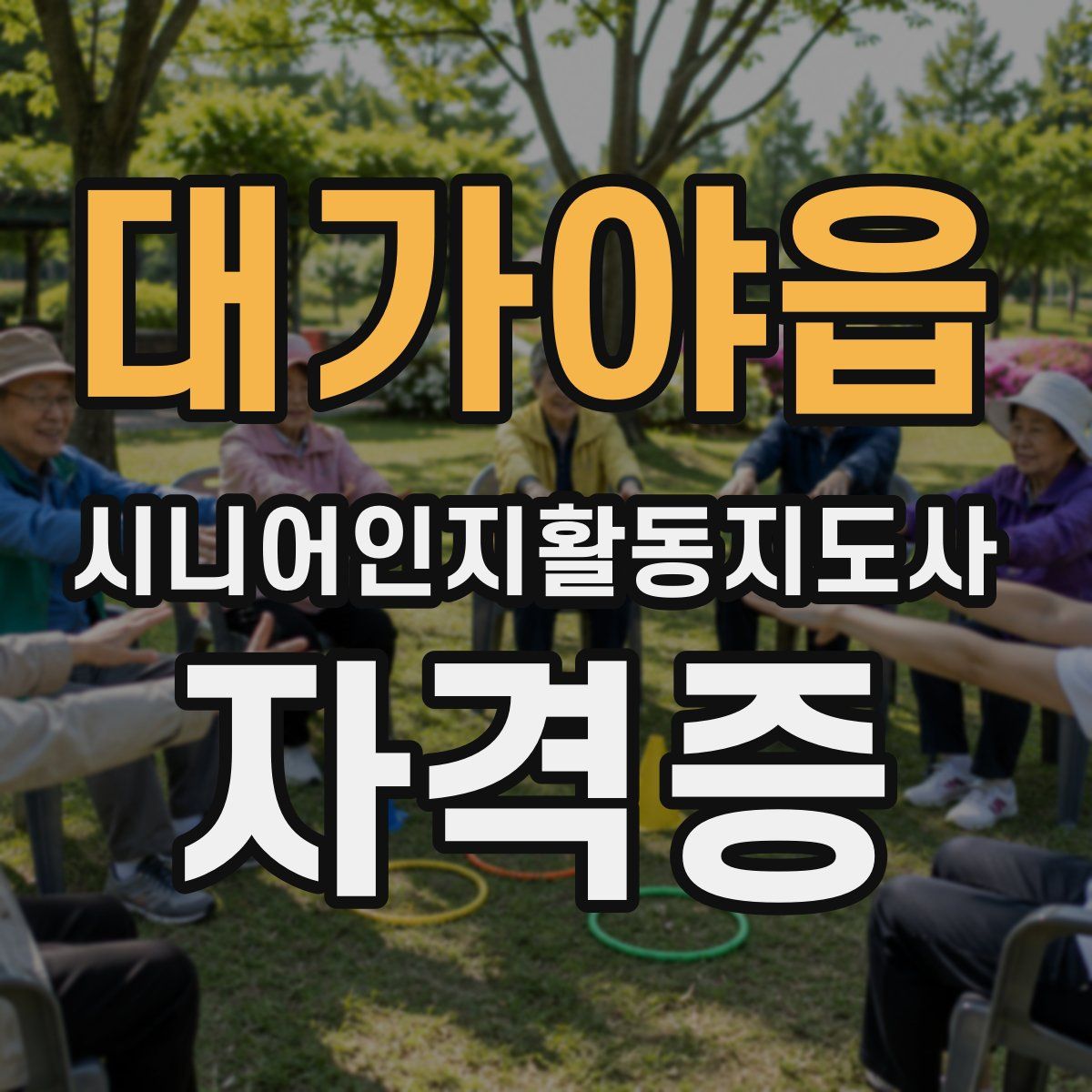 대가야읍 시니어인지활동지도사 자격증