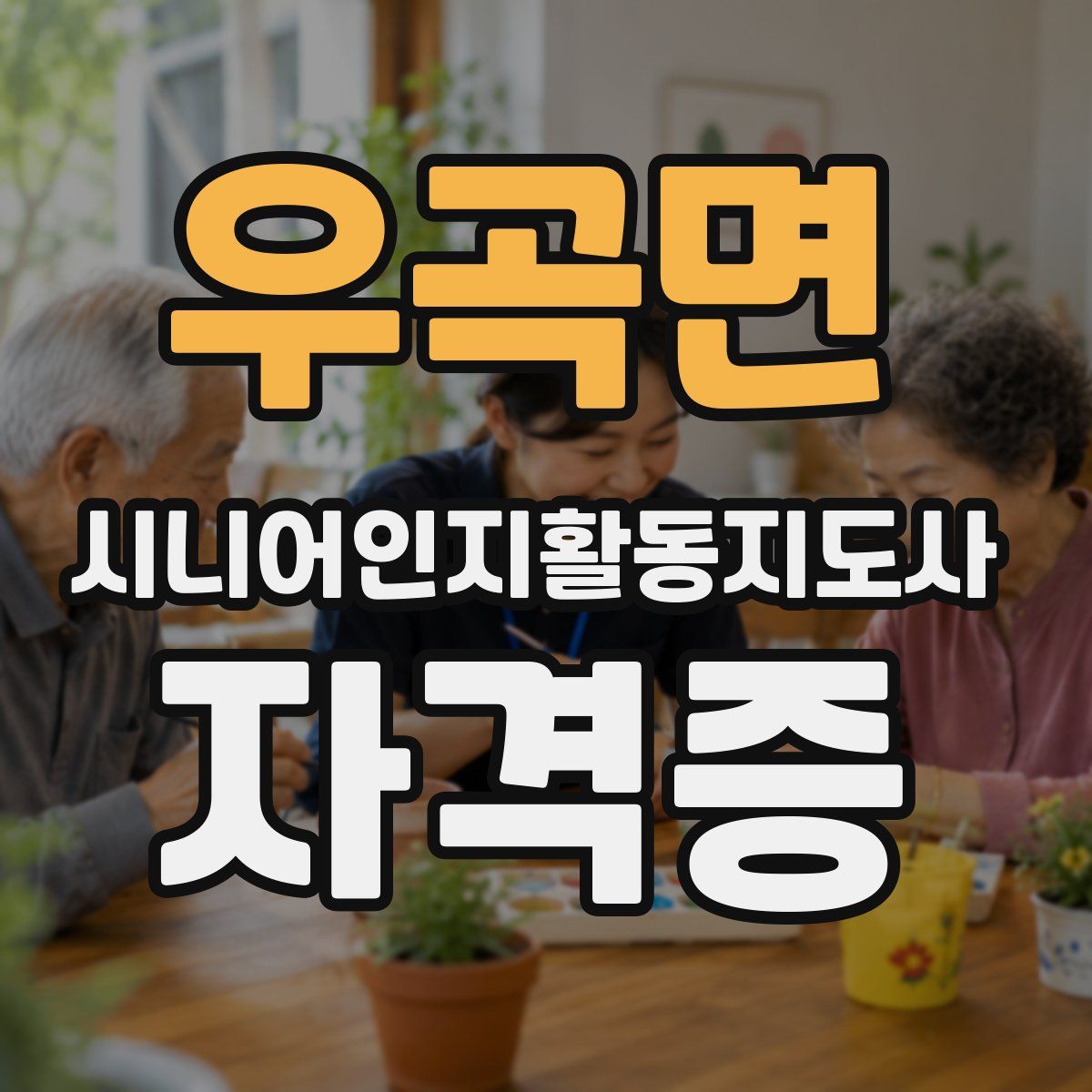 우곡면 시니어인지활동지도사 자격증