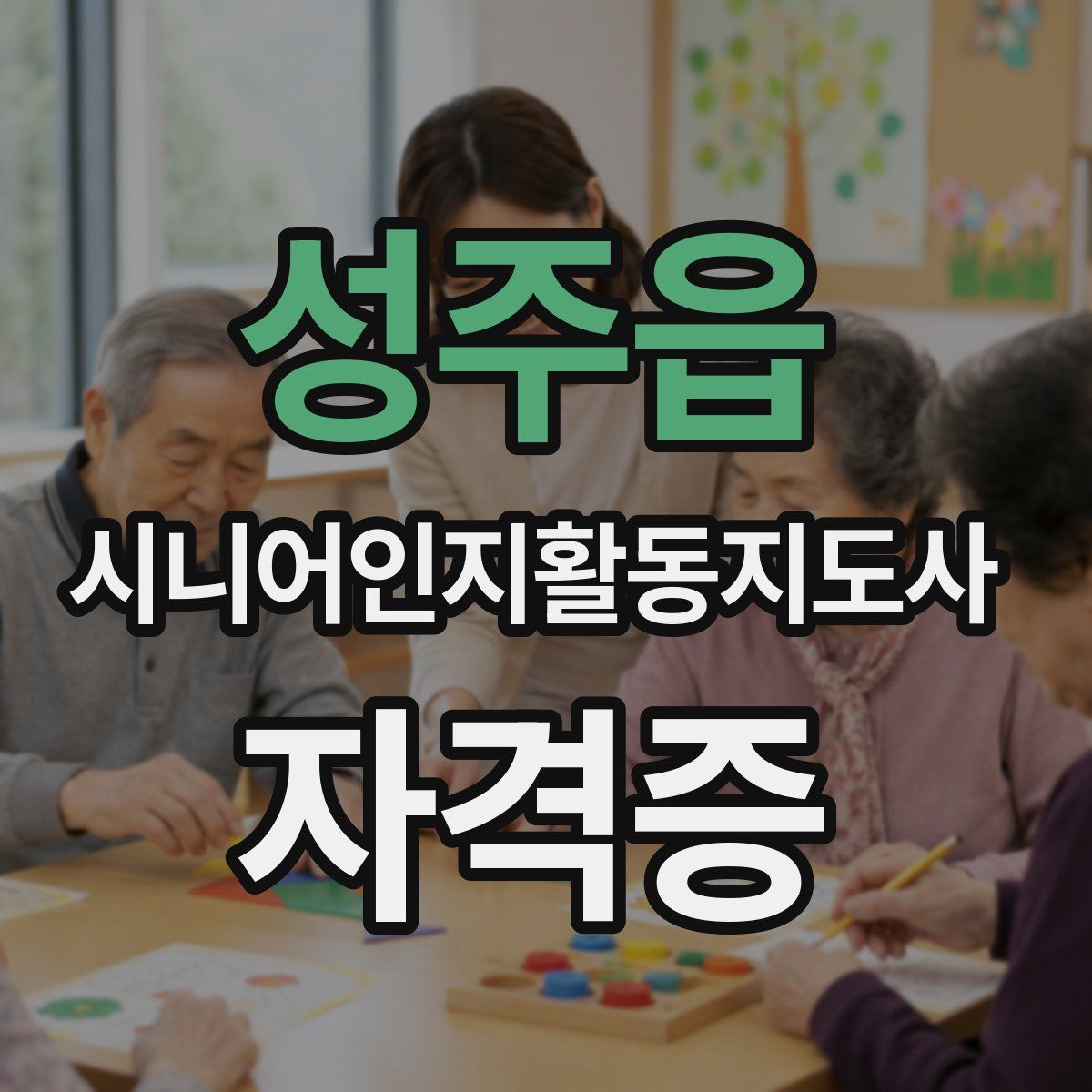 성주읍 시니어인지활동지도사 자격증