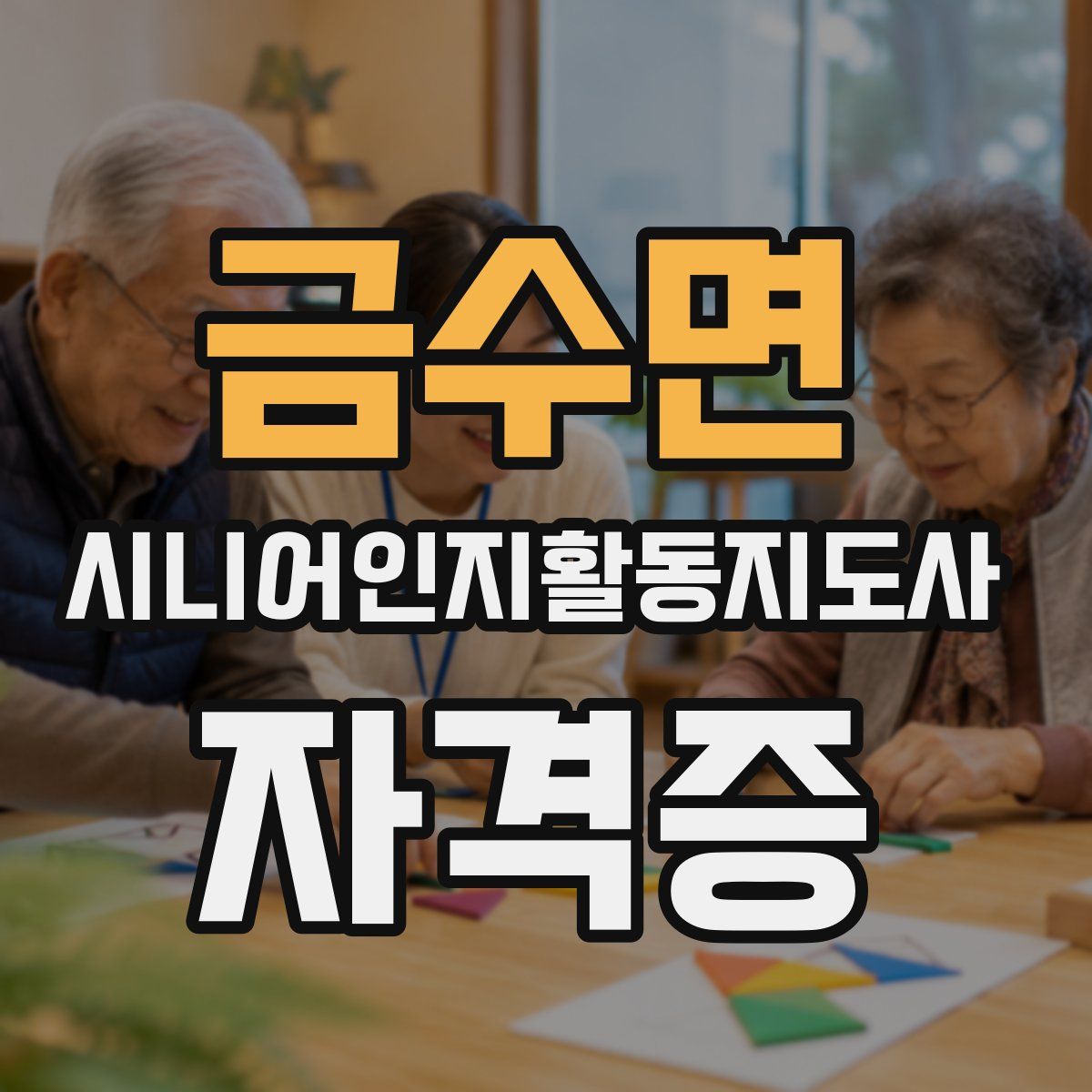 금수면 시니어인지활동지도사 자격증