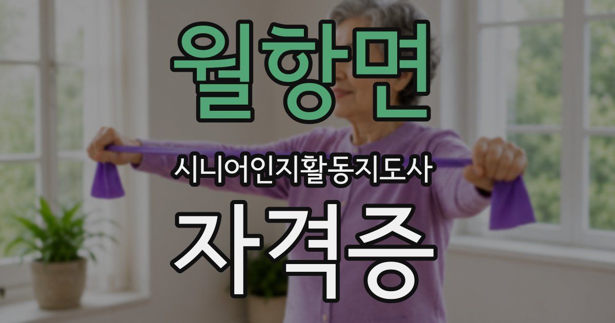 월항면 시니어인지활동지도사 자격증