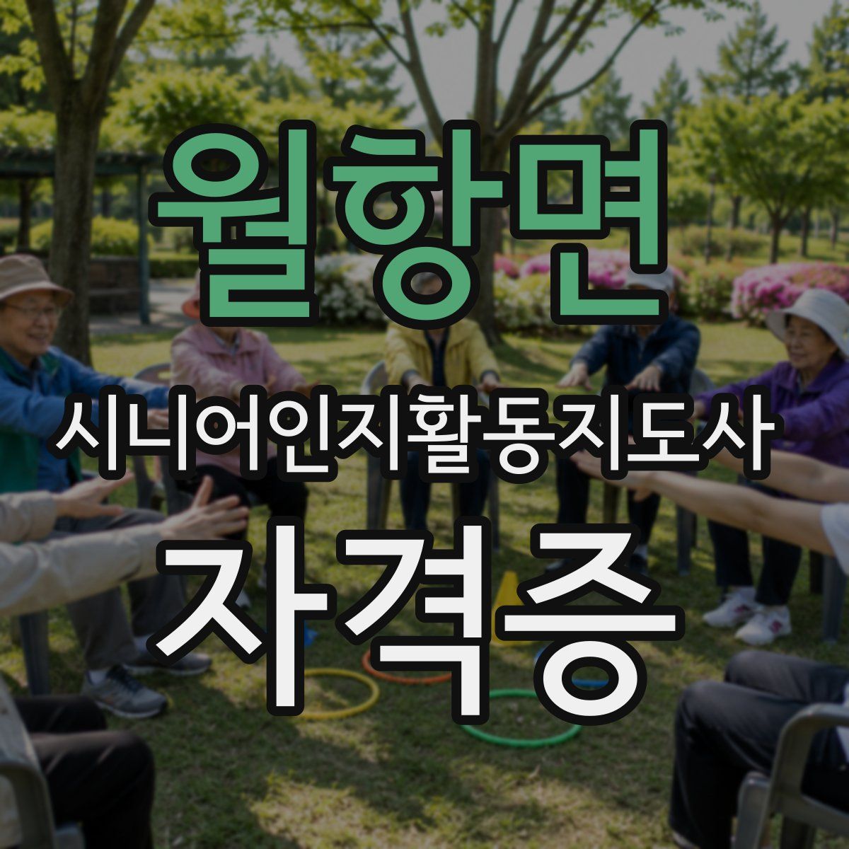 월항면 시니어인지활동지도사 자격증