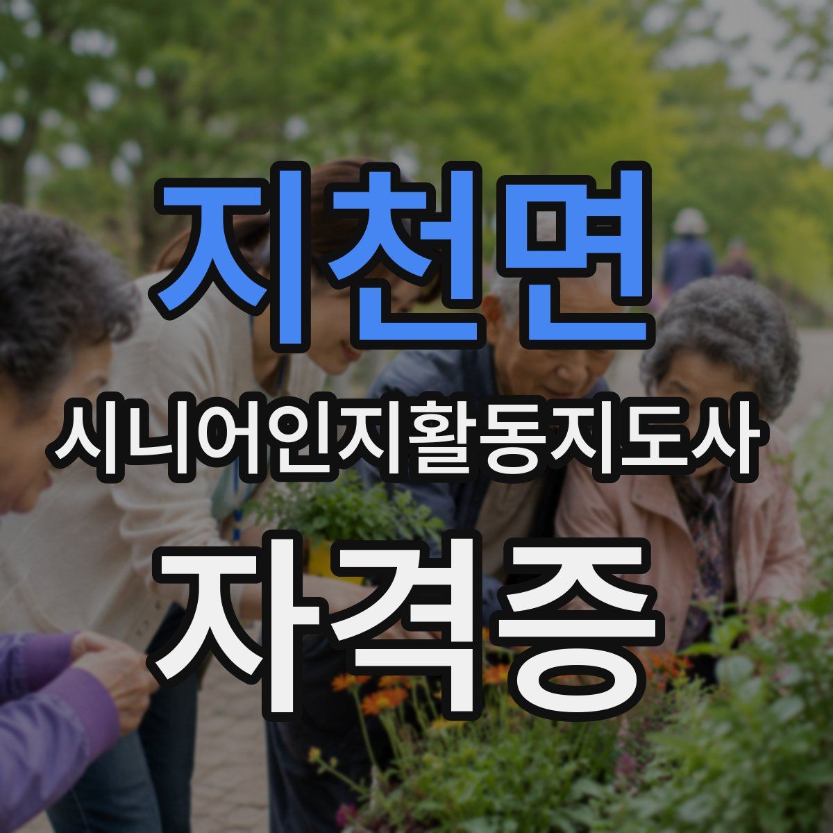 지천면 시니어인지활동지도사 자격증
