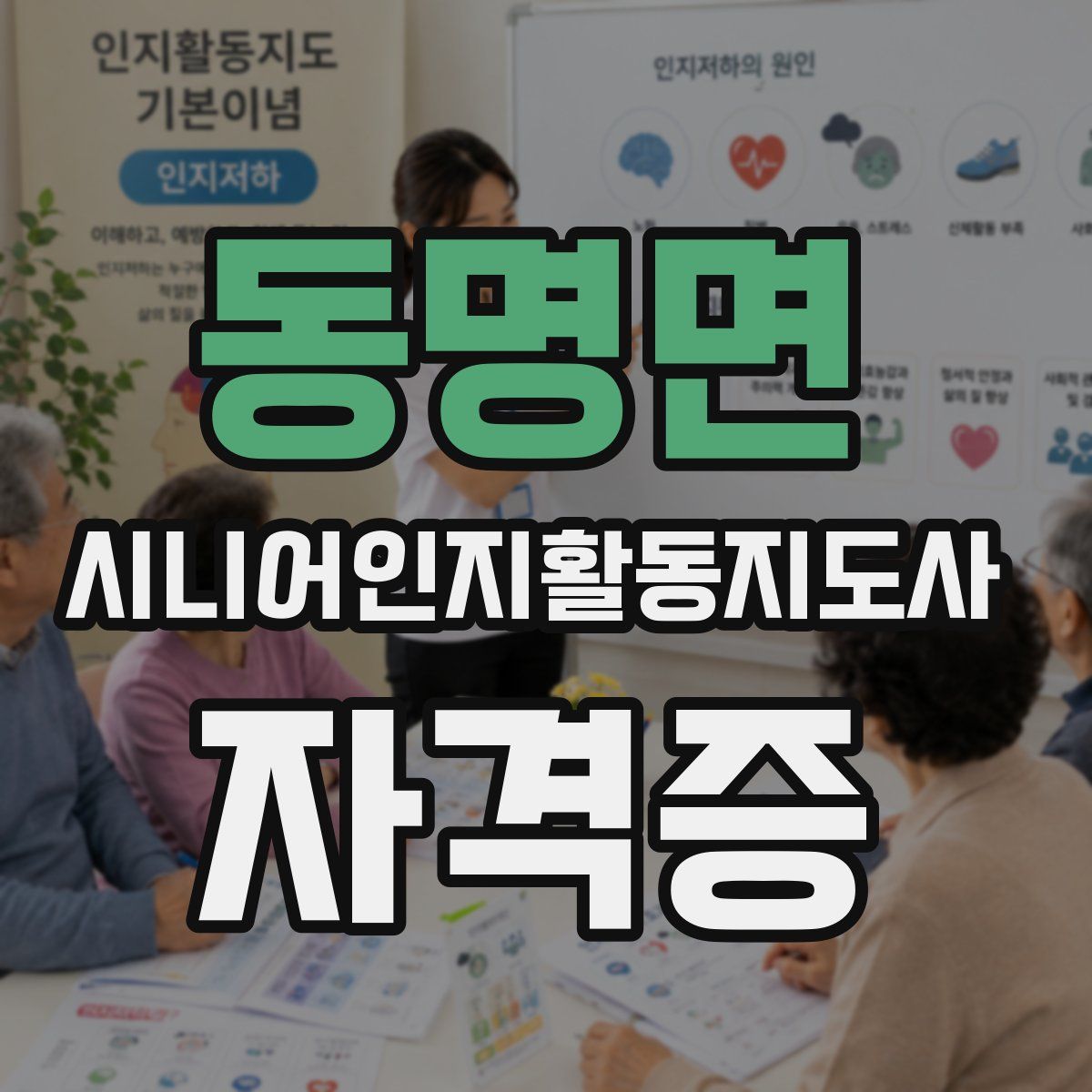 동명면 시니어인지활동지도사 자격증
