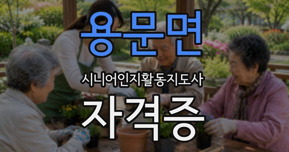 용문면 시니어인지활동지도사 자격증