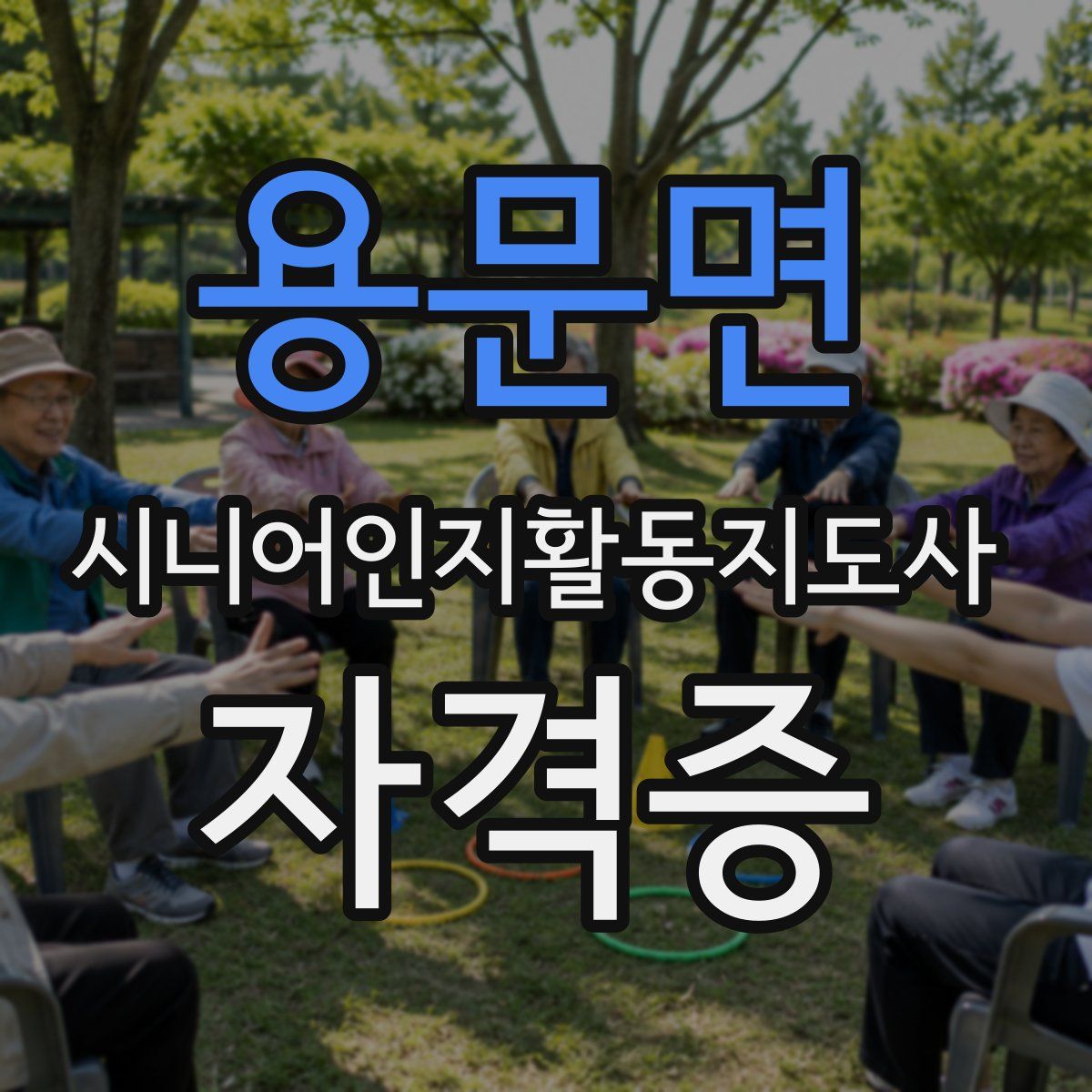 용문면 시니어인지활동지도사 자격증
