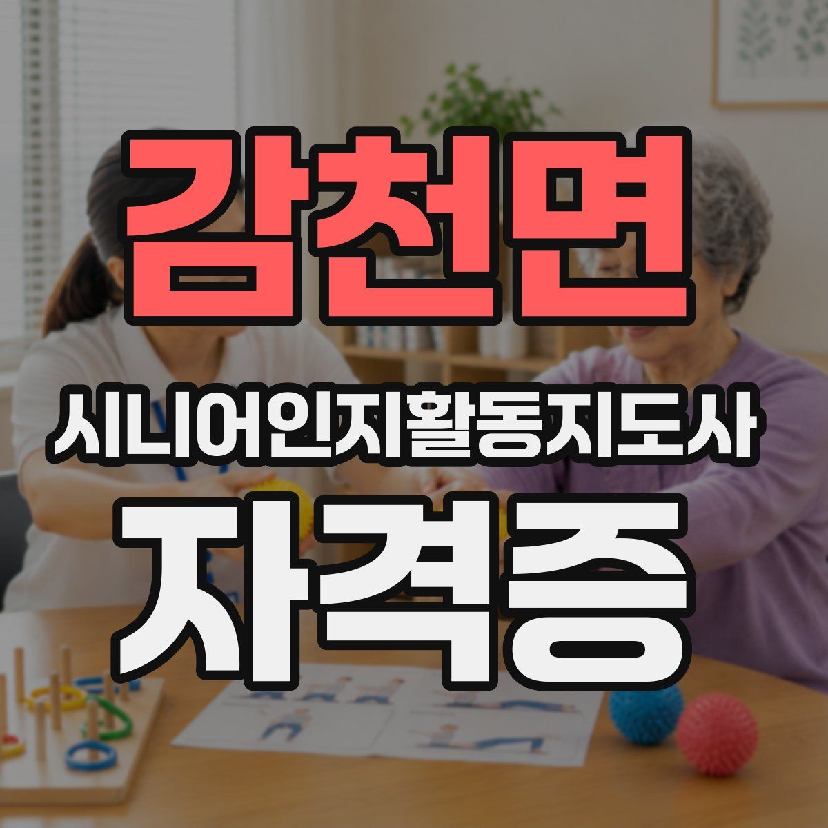감천면 시니어인지활동지도사 자격증