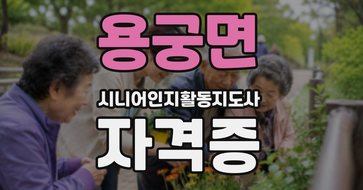 용궁면 시니어인지활동지도사 자격증