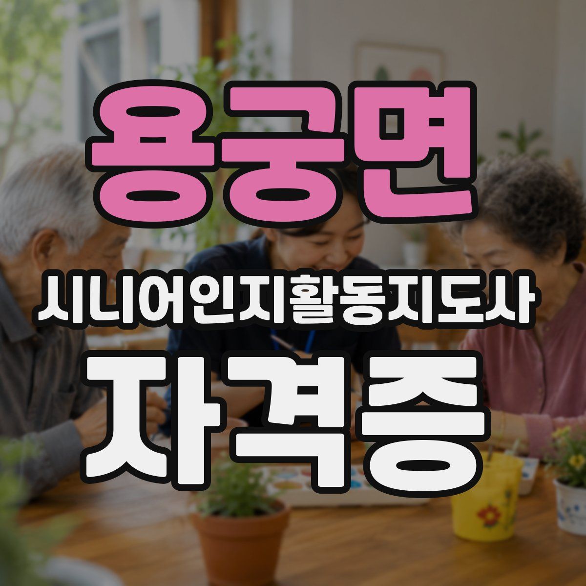 용궁면 시니어인지활동지도사 자격증