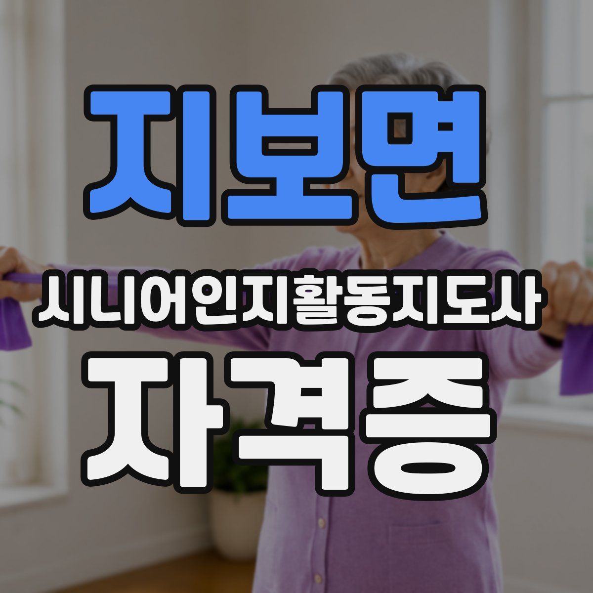 지보면 시니어인지활동지도사 자격증