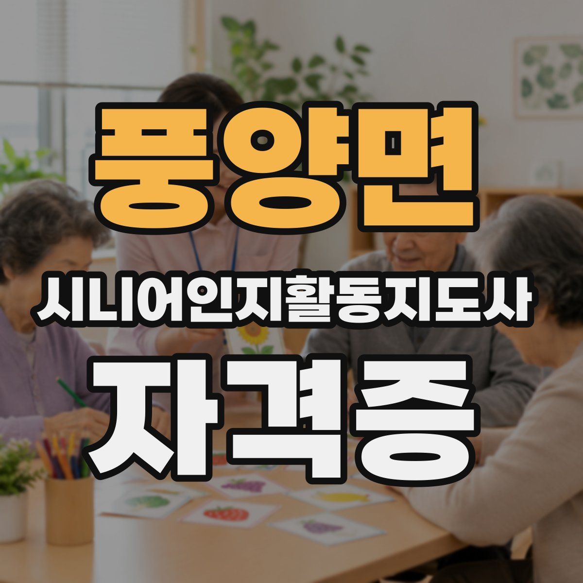 풍양면 시니어인지활동지도사 자격증