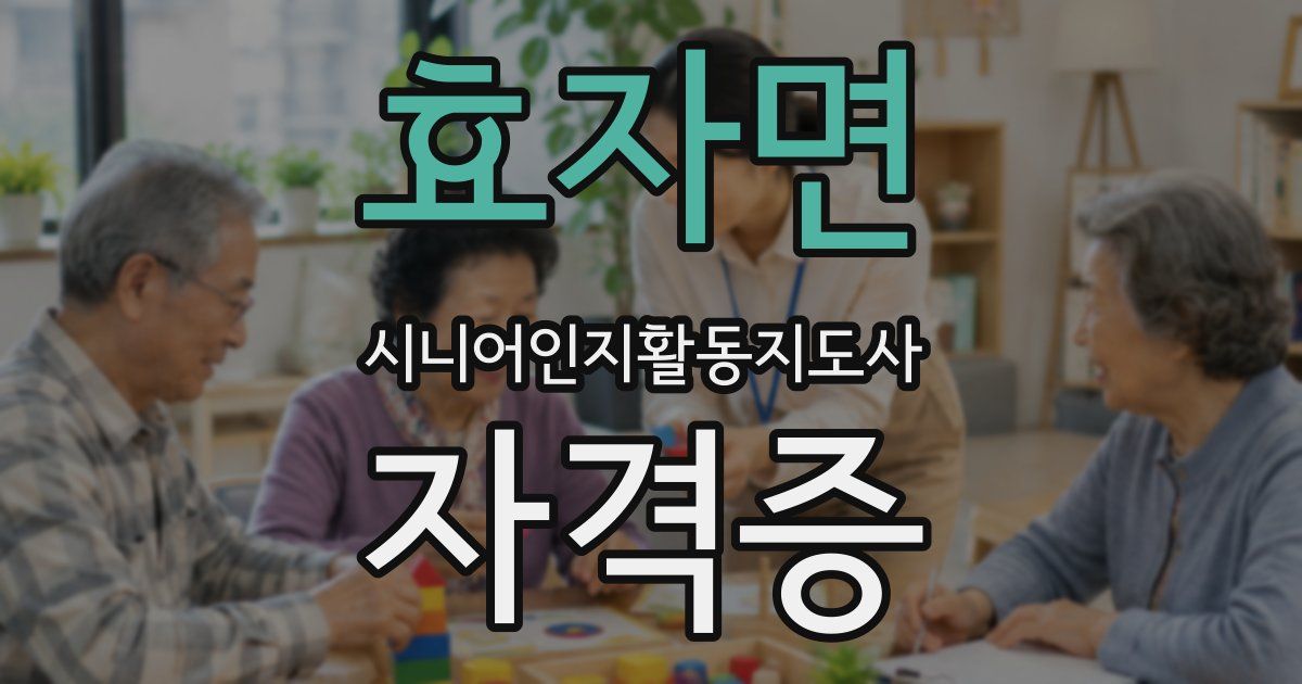 효자면 시니어인지활동지도사 자격증