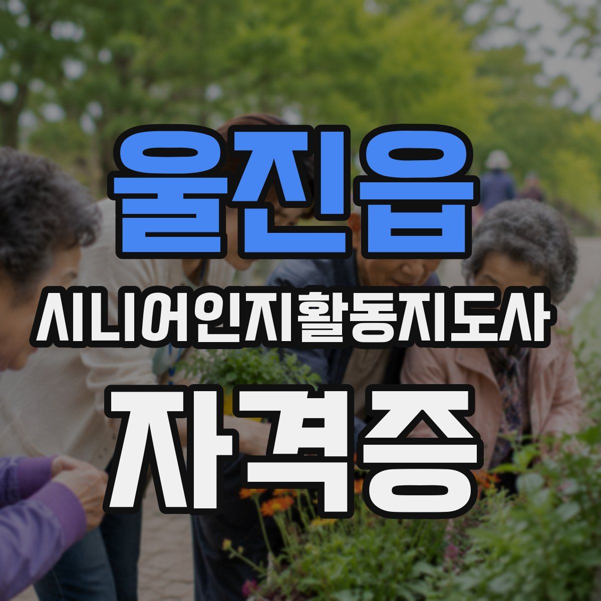 울진읍 시니어인지활동지도사 자격증