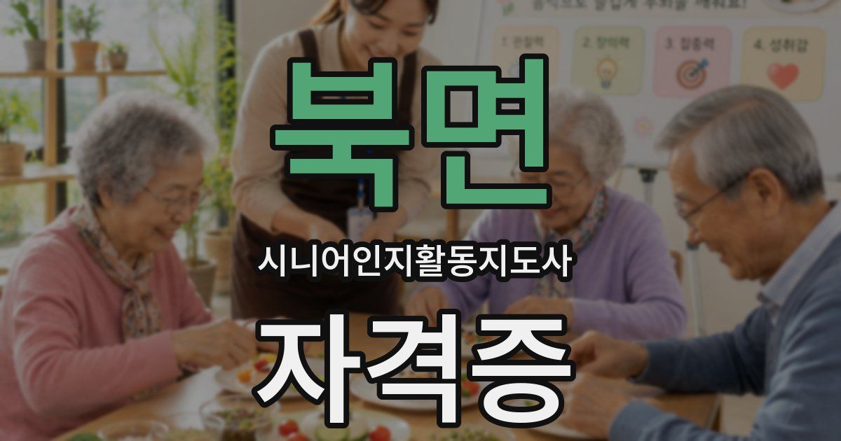 북면 시니어인지활동지도사 자격증