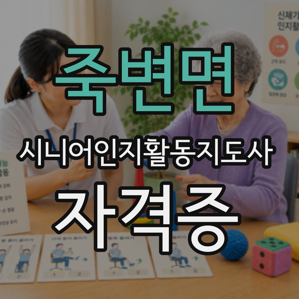 죽변면 시니어인지활동지도사 자격증