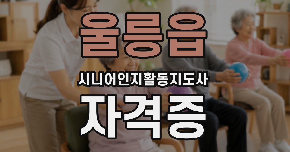 울릉읍 시니어인지활동지도사 자격증