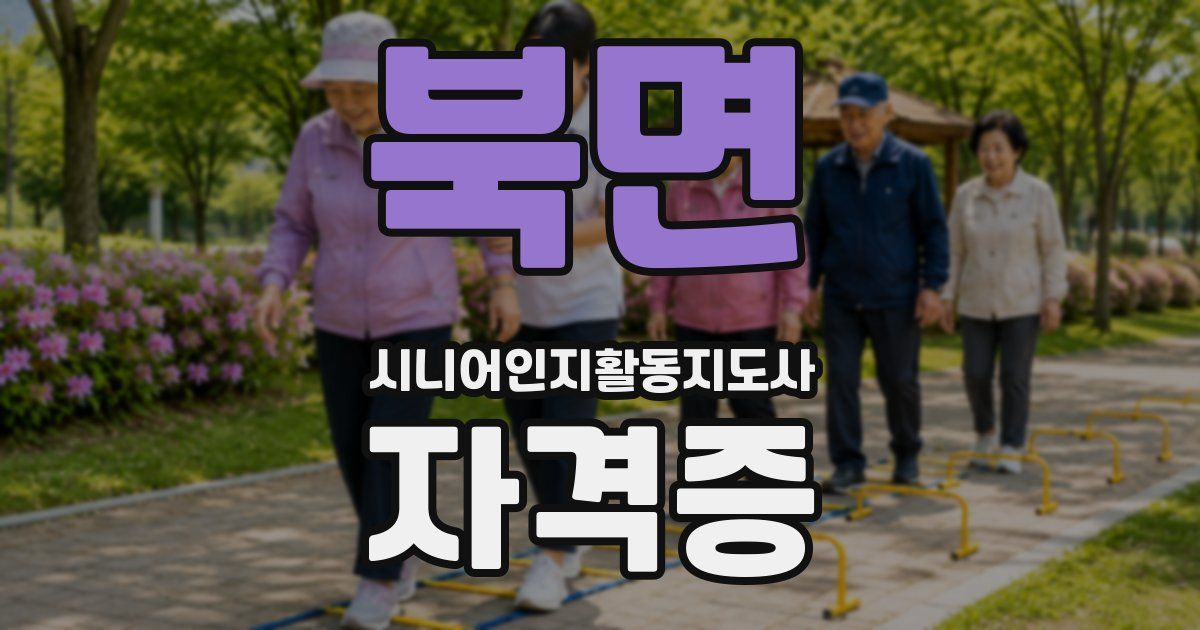 북면 시니어인지활동지도사 자격증