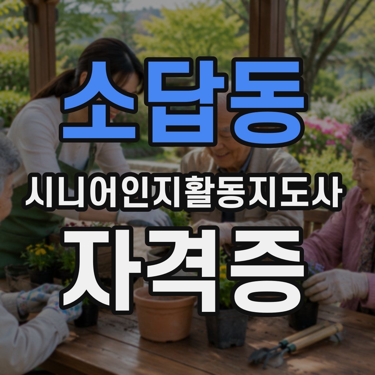 소답동 시니어인지활동지도사 자격증