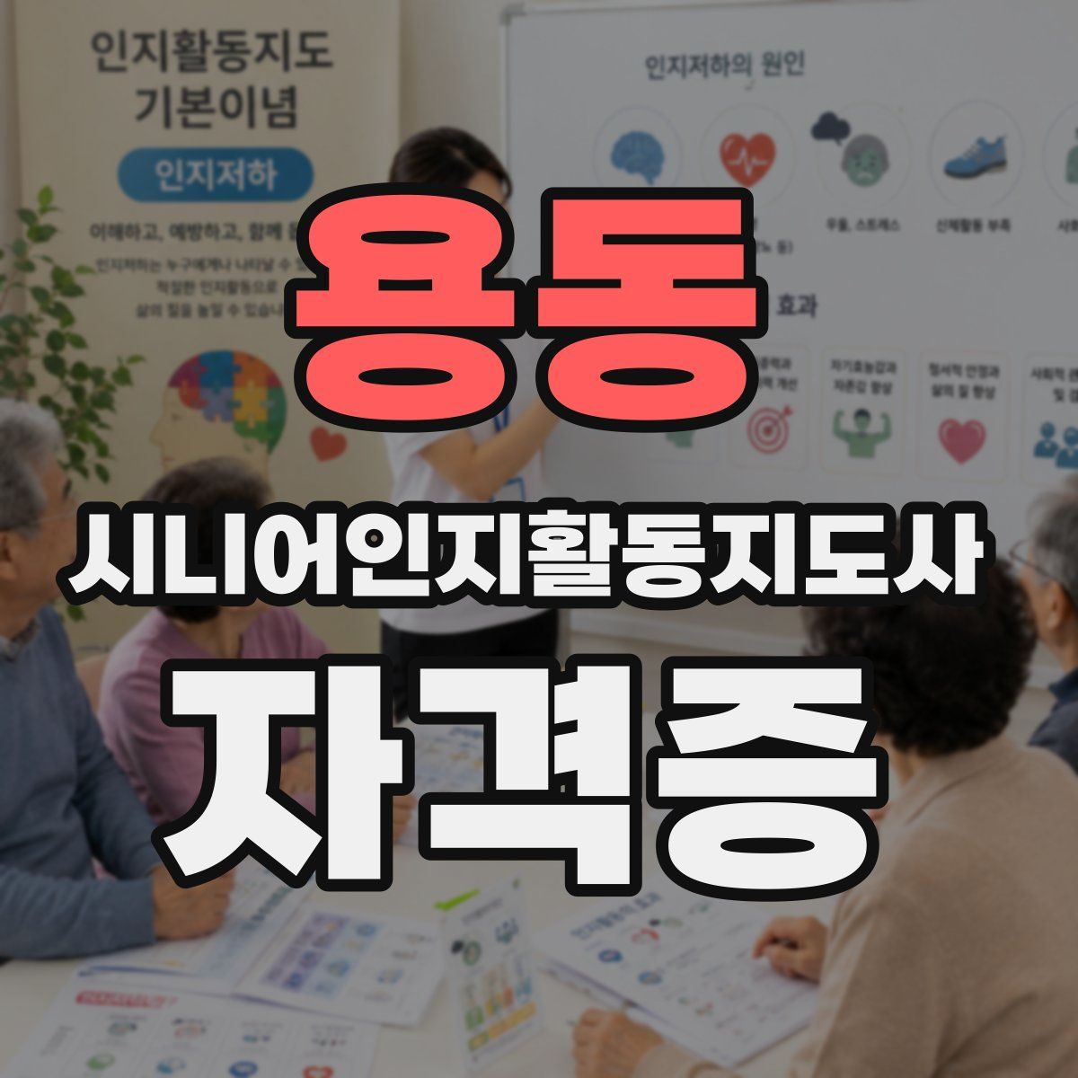 용동 시니어인지활동지도사 자격증