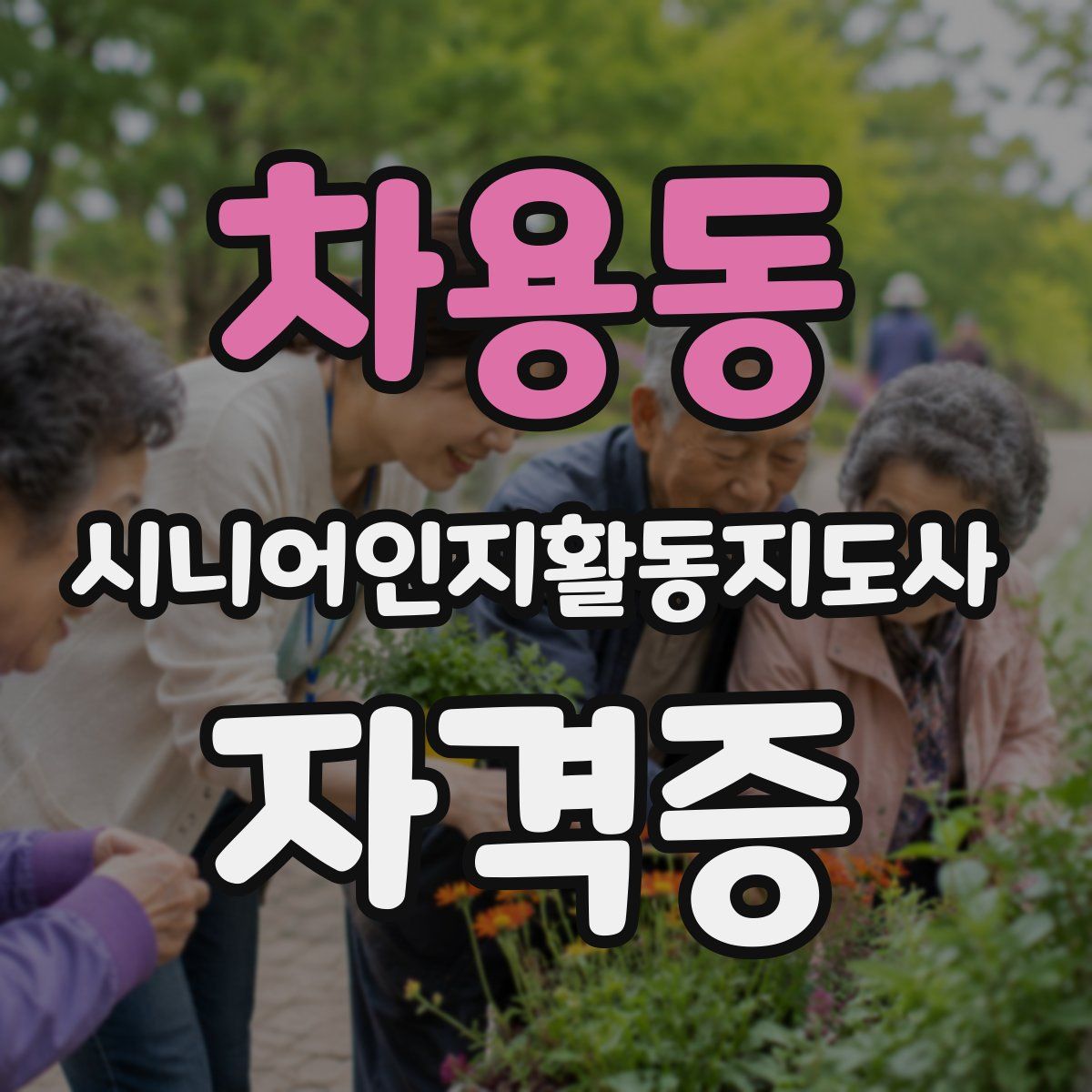 차용동 시니어인지활동지도사 자격증
