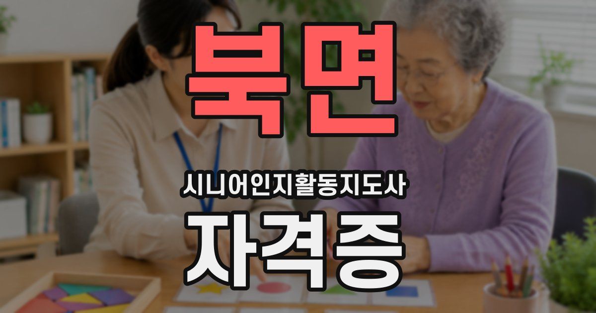 북면 시니어인지활동지도사 자격증