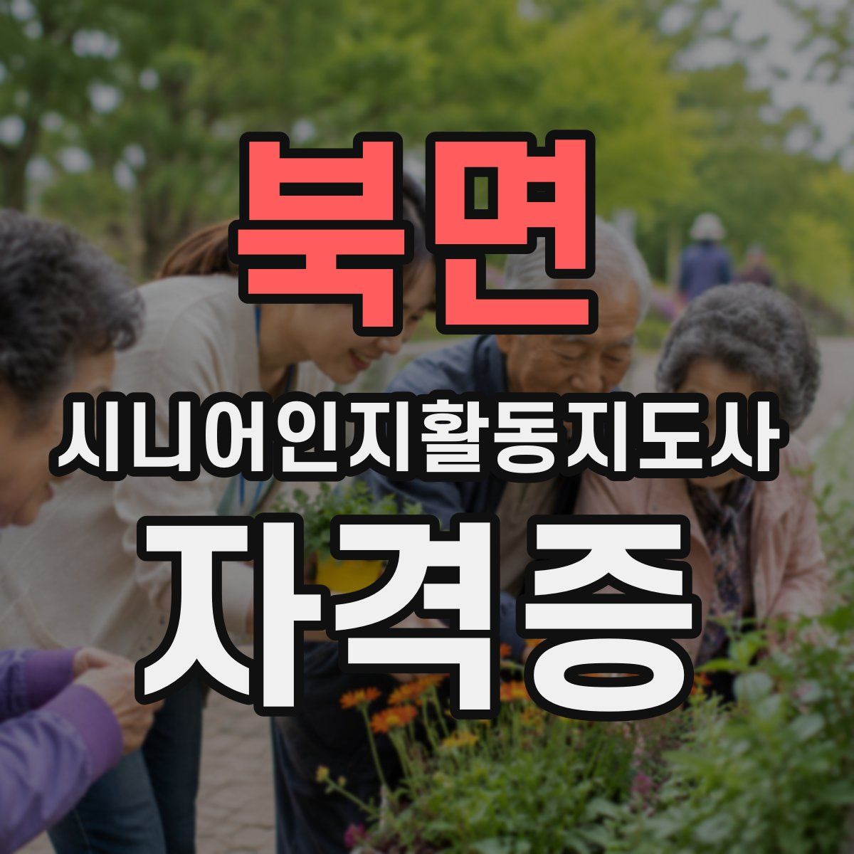북면 시니어인지활동지도사 자격증