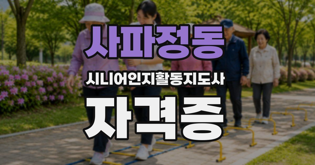 사파정동 시니어인지활동지도사 자격증