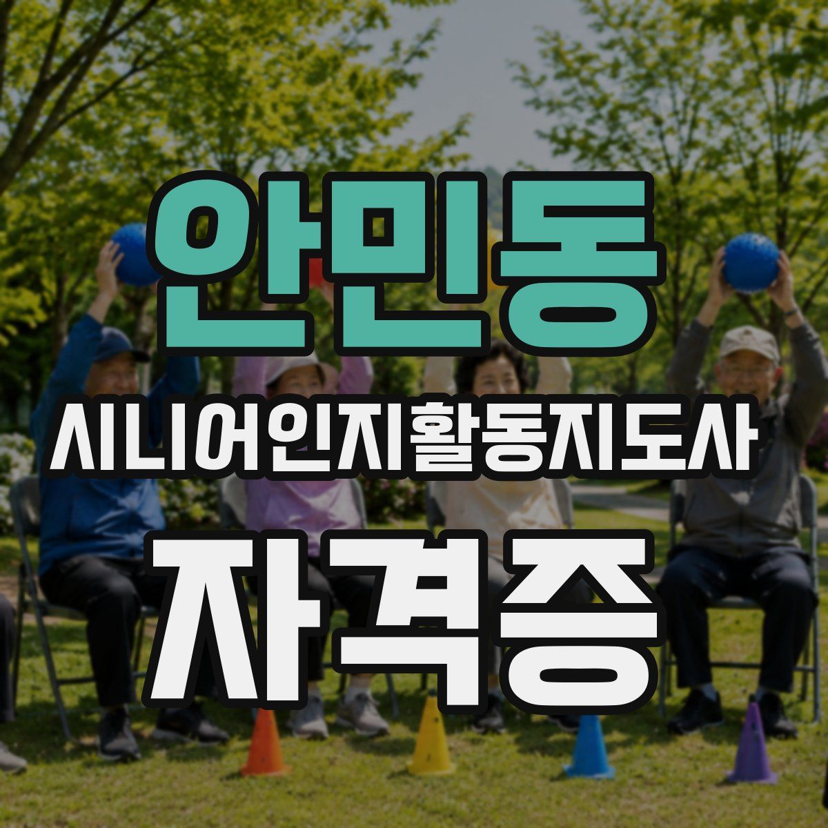 안민동 시니어인지활동지도사 자격증