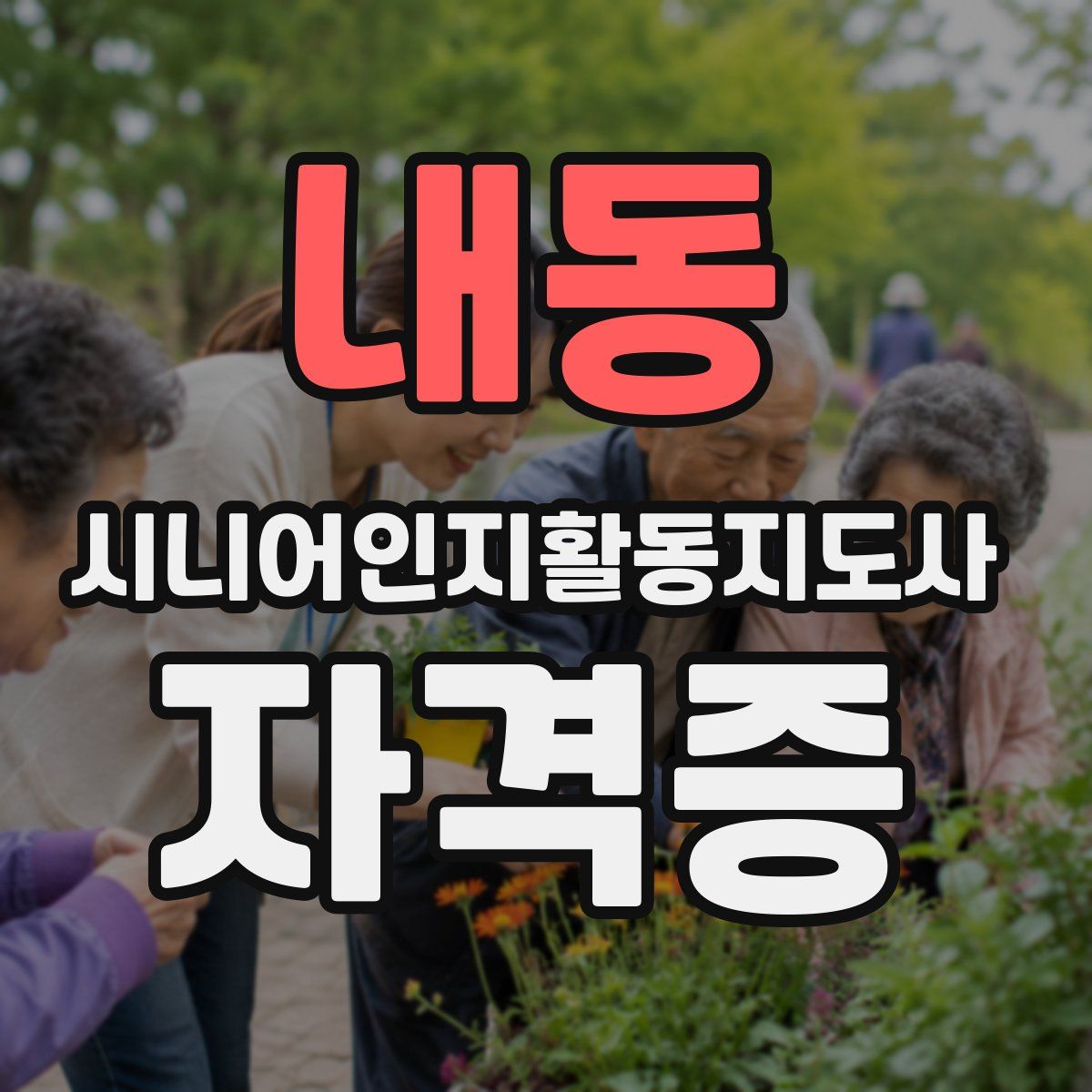 내동 시니어인지활동지도사 자격증