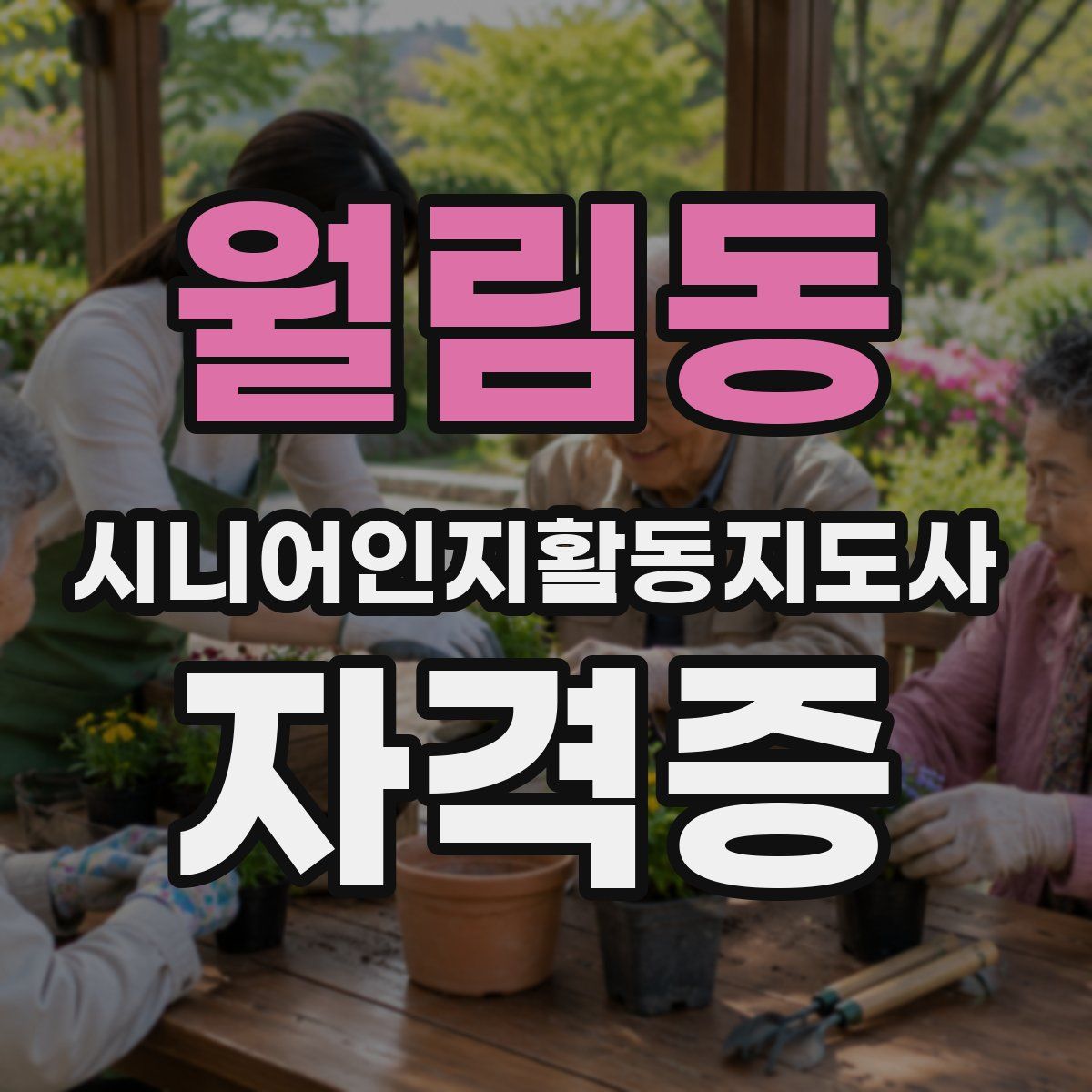 월림동 시니어인지활동지도사 자격증