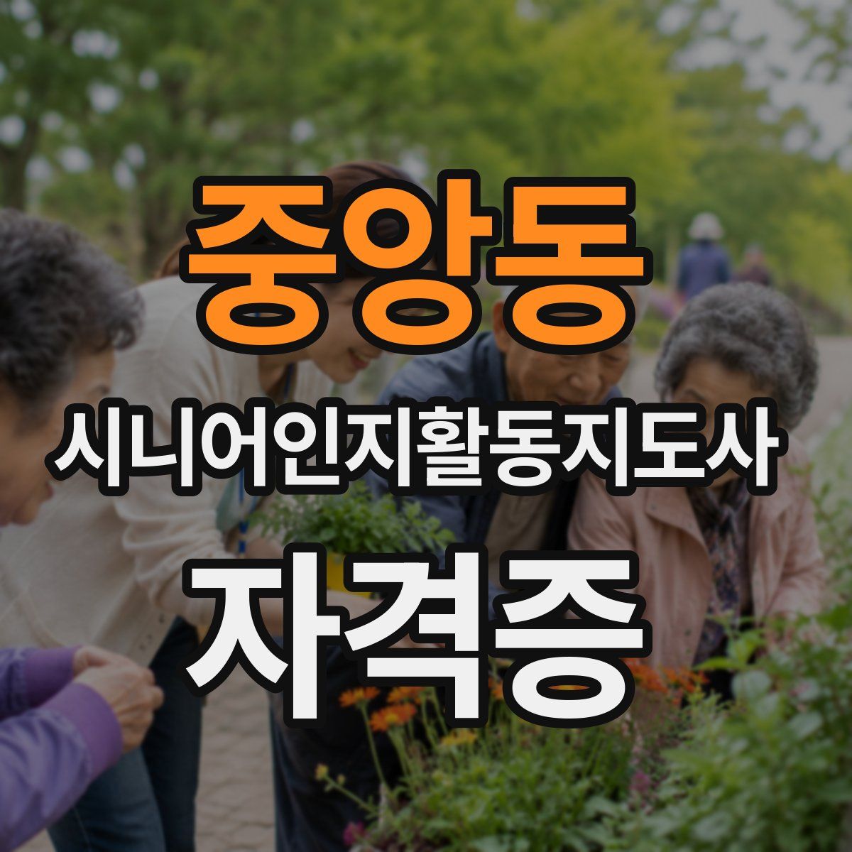 중앙동 시니어인지활동지도사 자격증