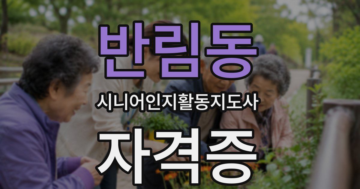 반림동 시니어인지활동지도사 자격증