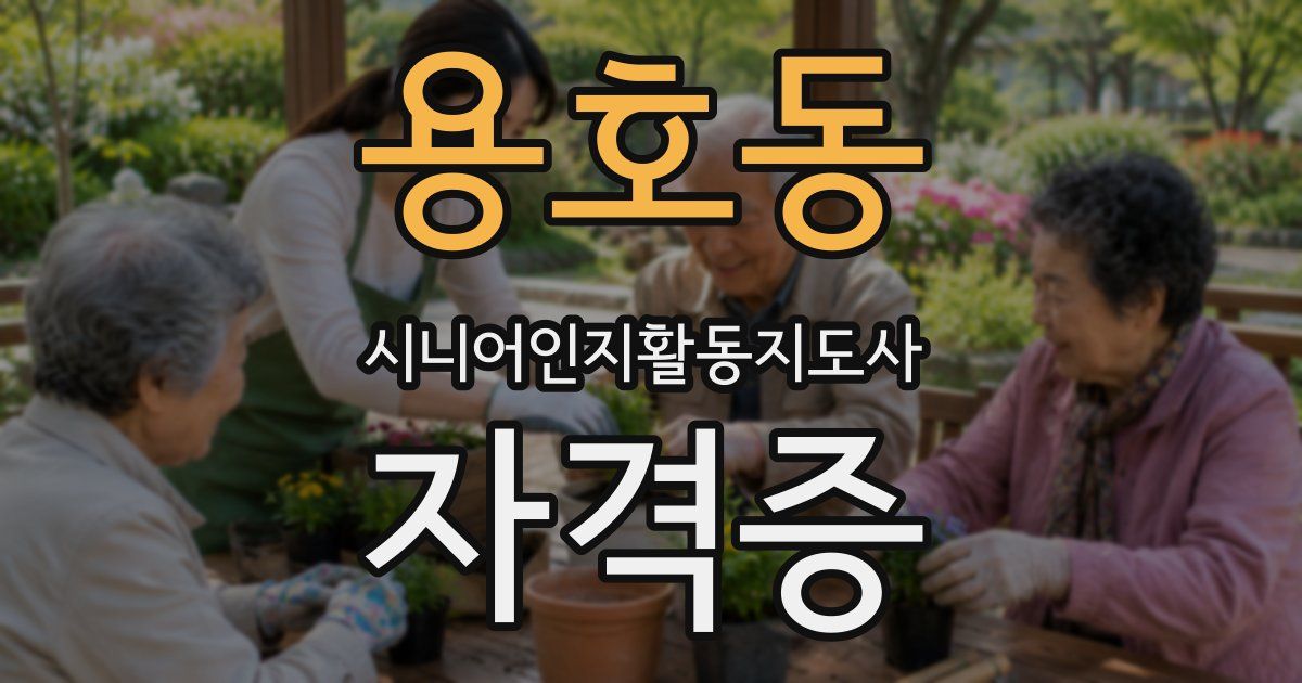 용호동 시니어인지활동지도사 자격증