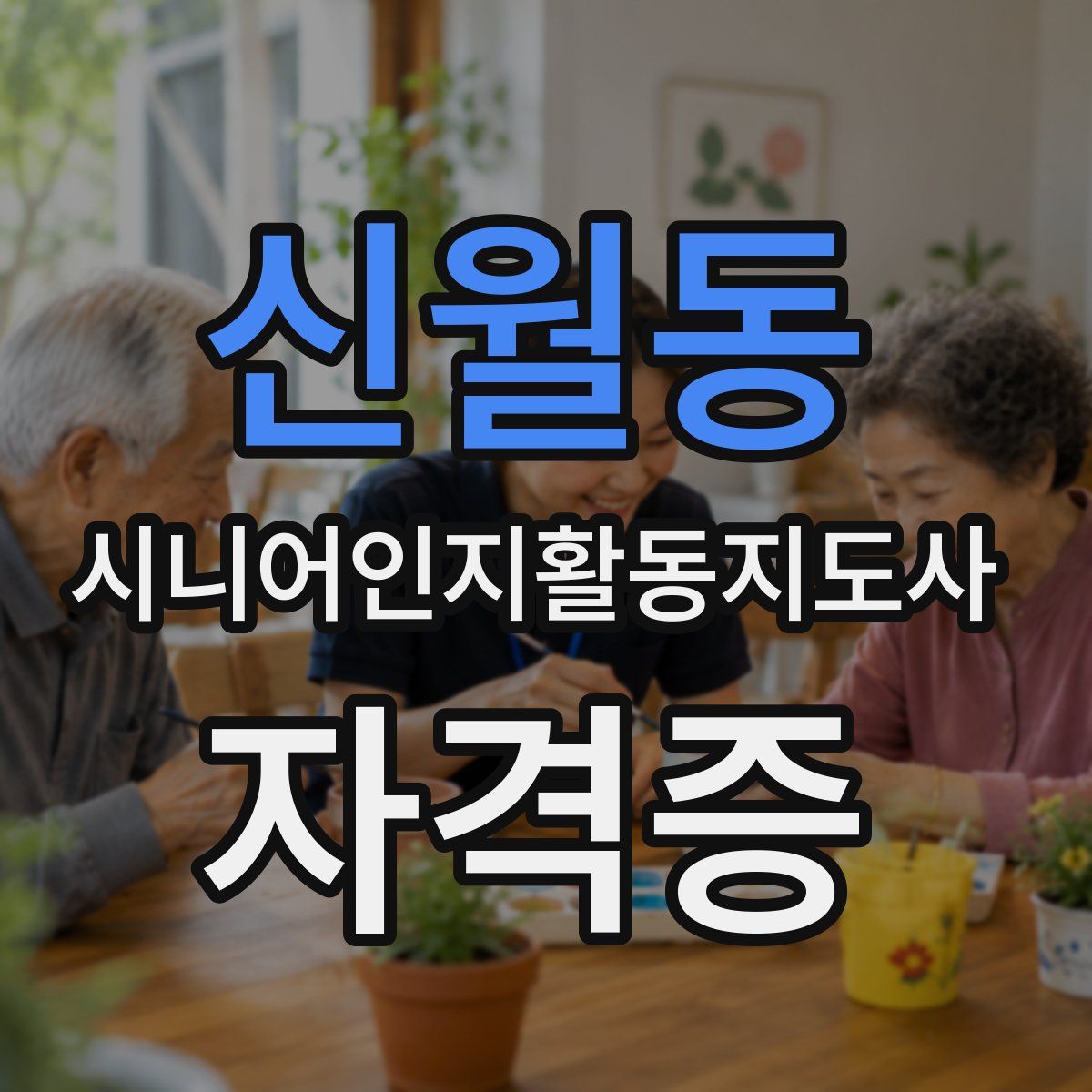 신월동 시니어인지활동지도사 자격증