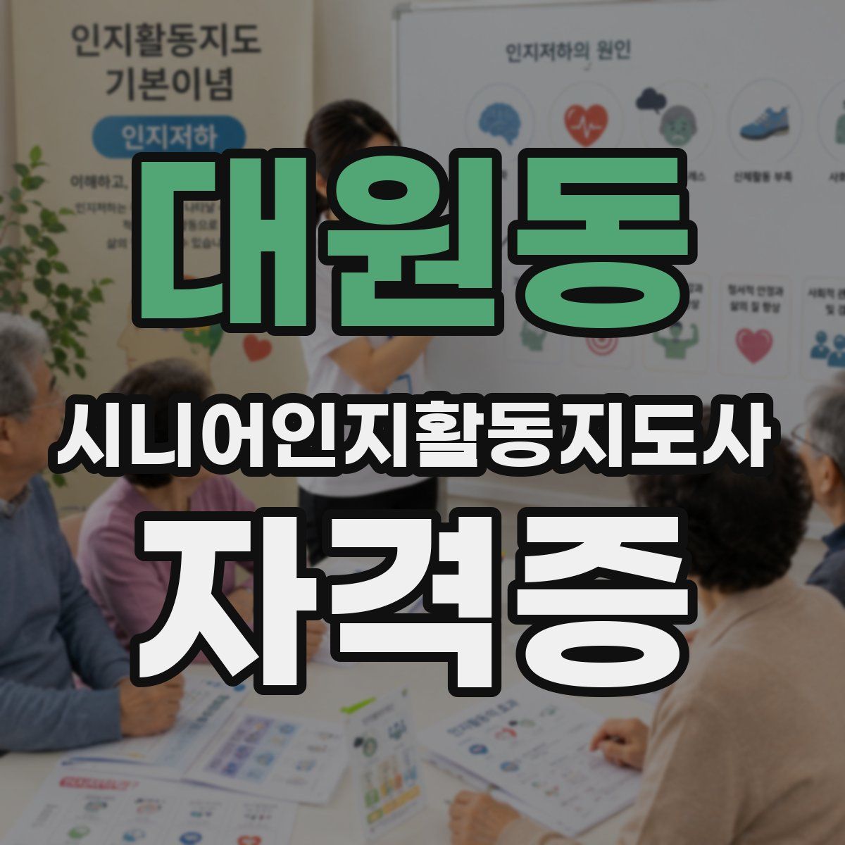 대원동 시니어인지활동지도사 자격증
