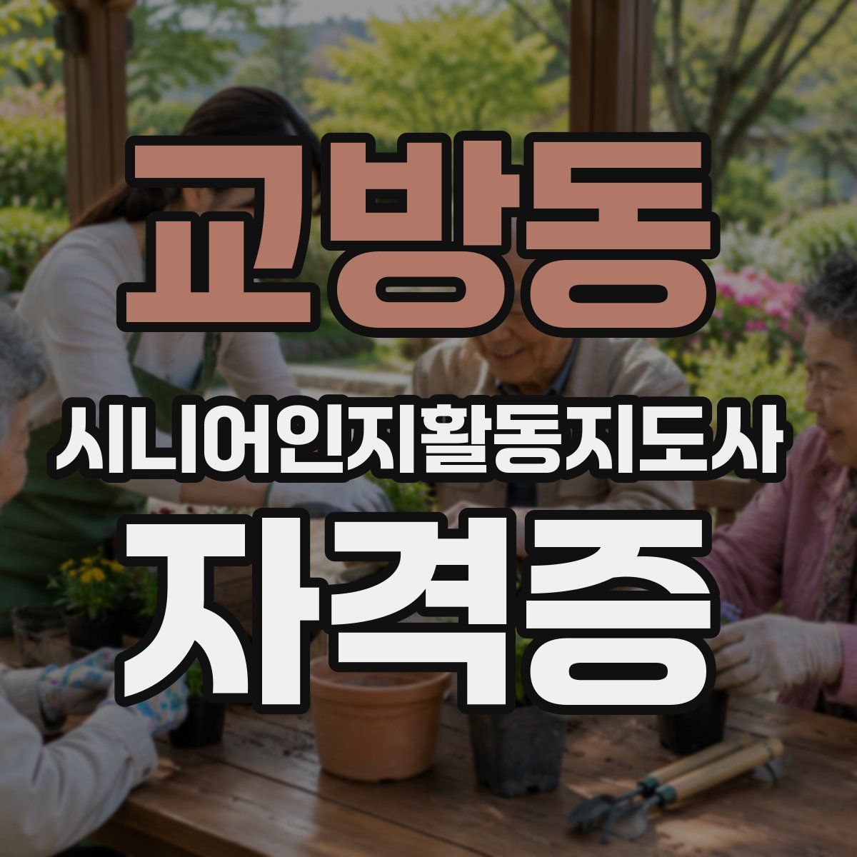 교방동 시니어인지활동지도사 자격증